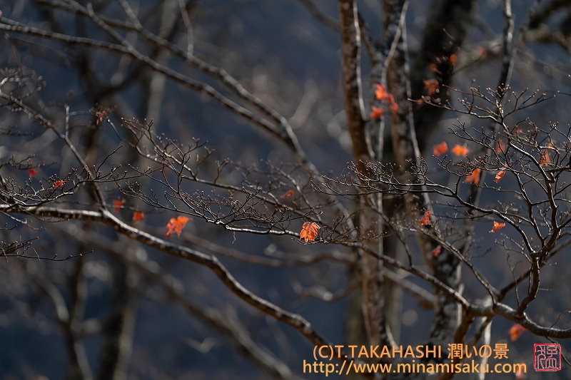 ../Images/7R251123 (101).jpg